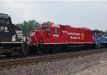 CP 4449